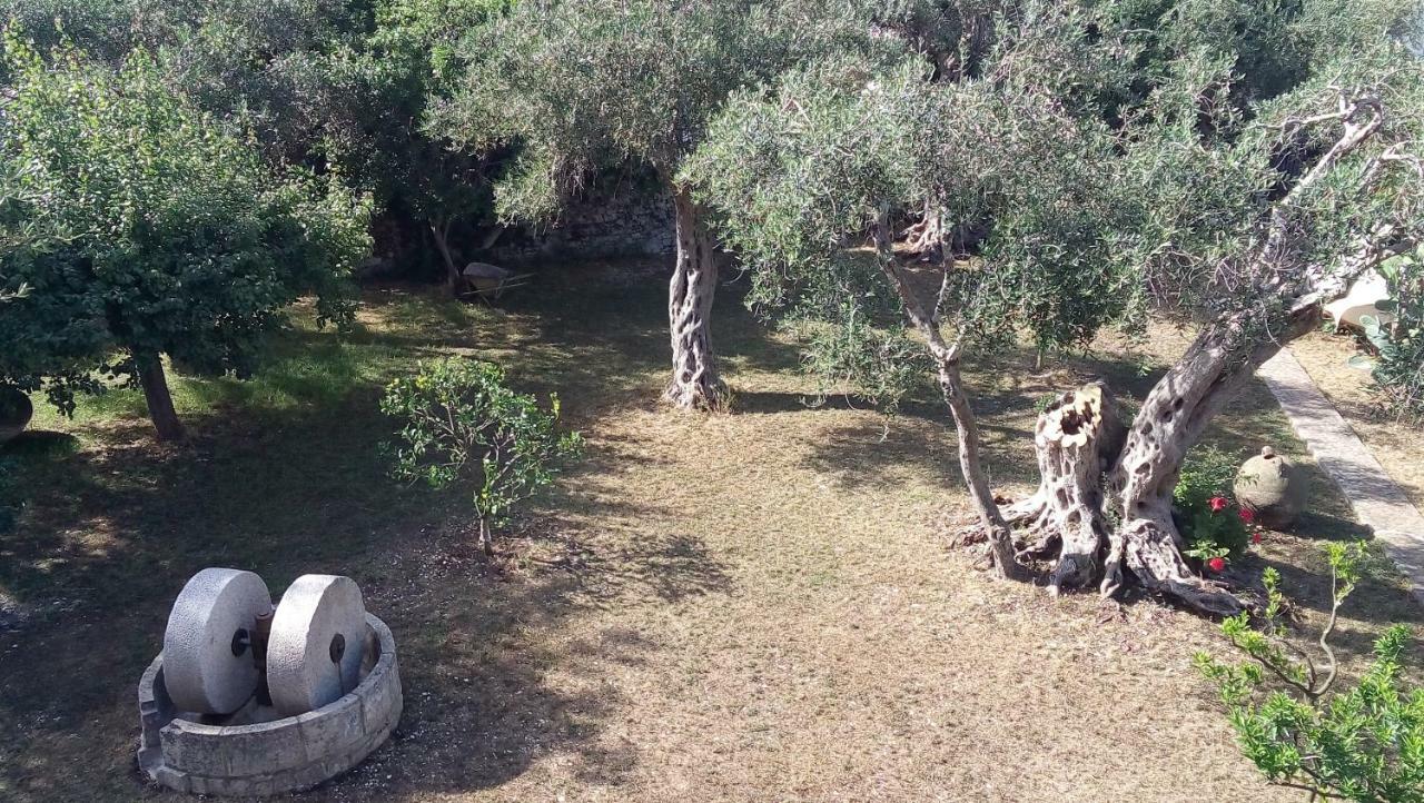Baronessa'S Apartments جايوس المظهر الخارجي الصورة
